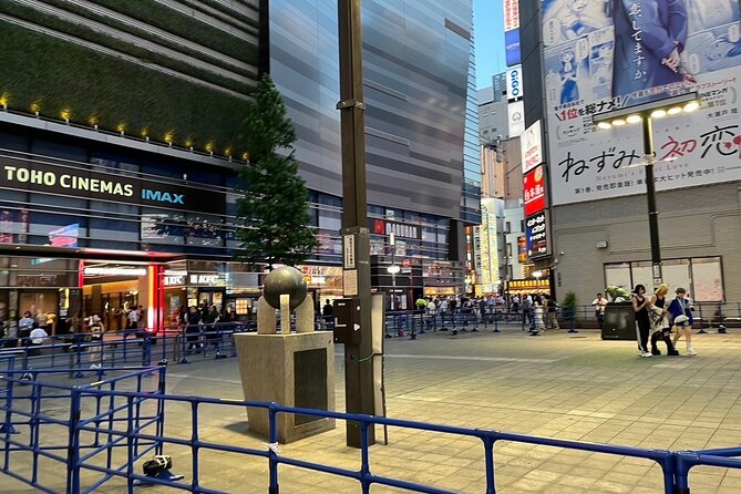 Kabukicho Macabre Tour - the Real Tokyo Vice - Why Kabukicho makes such an unusual walking tour