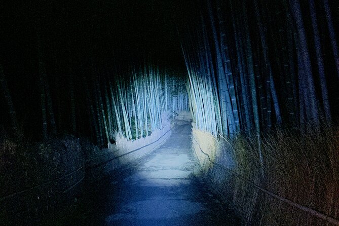 Kyoto Ghost Tour: Dark Tales, Urban Legends, Bamboo Forest Night - Stories beyond the usual yōkai tales