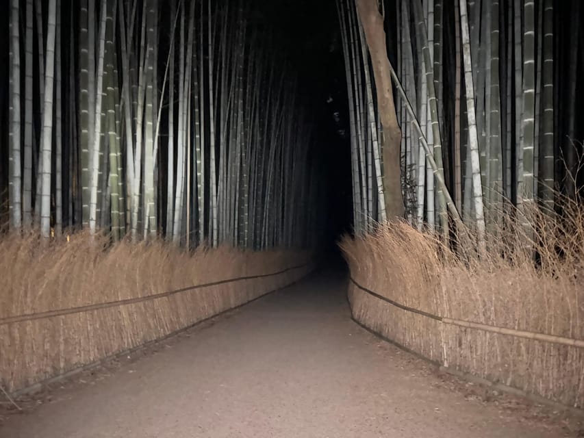 Kyoto: Ghost Tour - Legends, Dark Tales, Bamboo Forest Night - Is $50 a fair price?