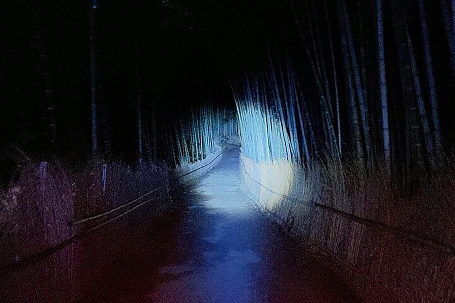 Kyoto: Ghost Tour - Legends, Dark Tales, Bamboo Forest Night - Who should book this experience?