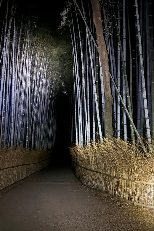 Kyoto: Ghost Tour - Legends, Dark Tales, Bamboo Forest Night - Meeting the group at Saga-Arashiyama Station