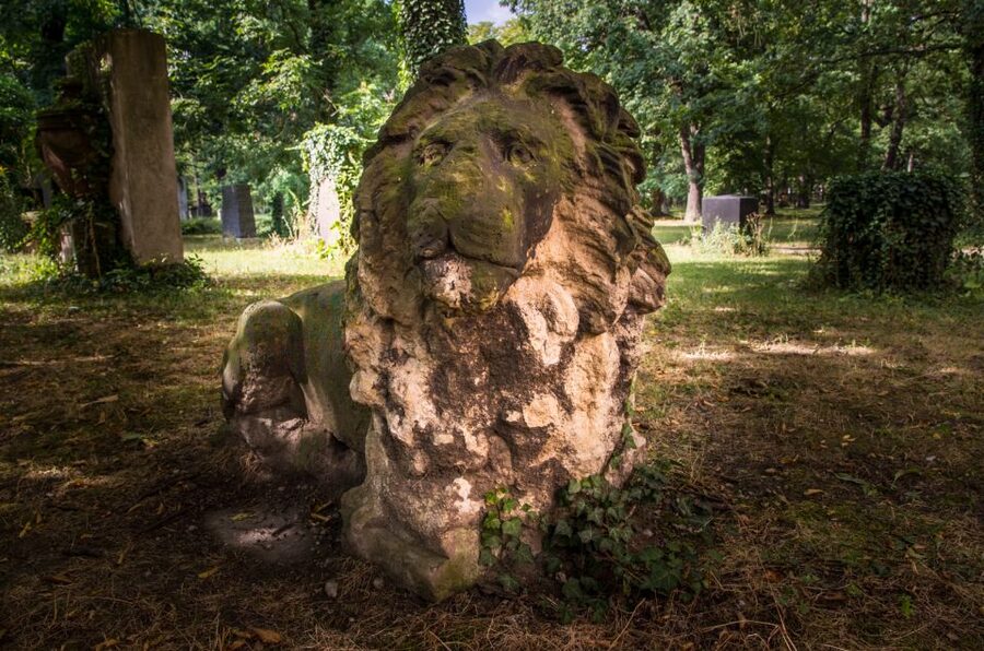Leipzig Old Cemetery: 75-Minute Dark History Tour - Meeting at the Grassi Museum