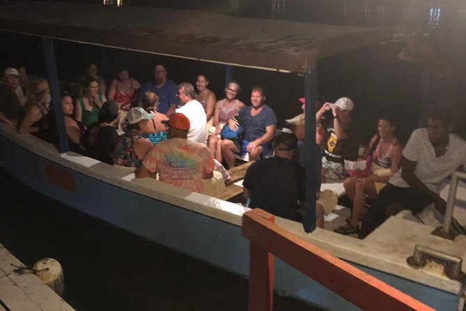 Luminous Lagoon After Dark Tour - Booking timing and cancellation details