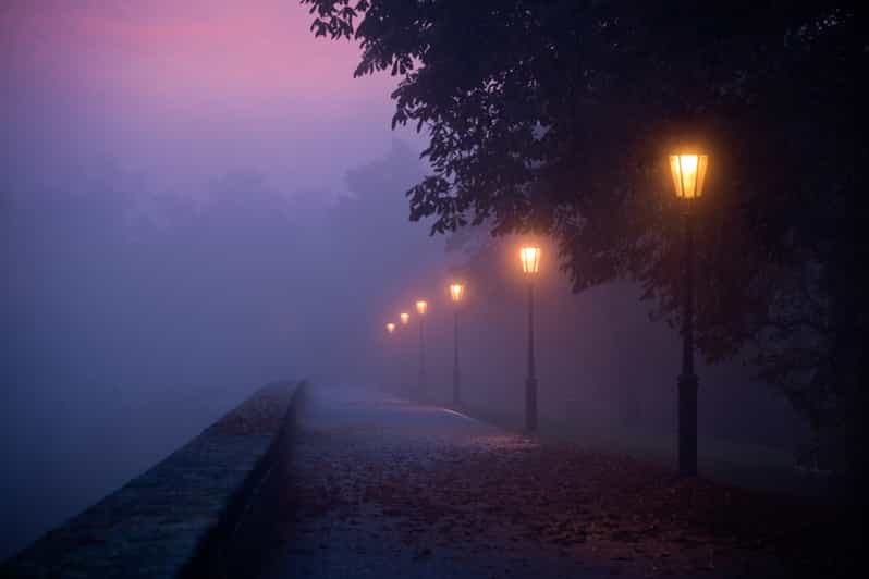 New Orleans: 2-Hour Paranormal Investigation Tour - The mass burial ground and the opening stories
