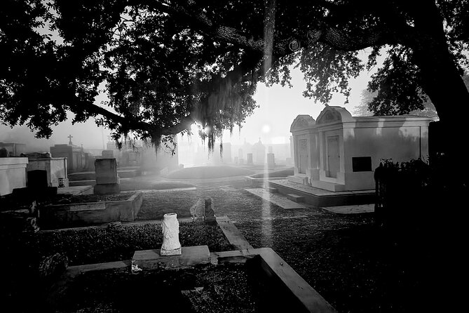 New Orleans Cemetery Bus Tour with Exclusive Cemetery Access - What you see from the bus between stops