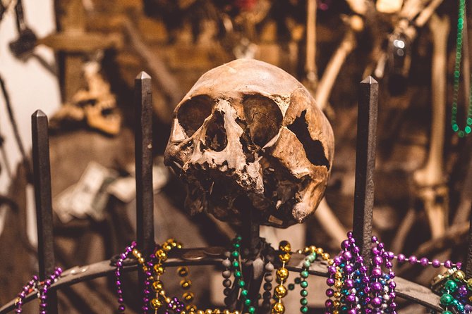 New Orleans Combo Tour: Voodoo, Vampire, and Ghost Tour - A dark introduction to the French Quarter