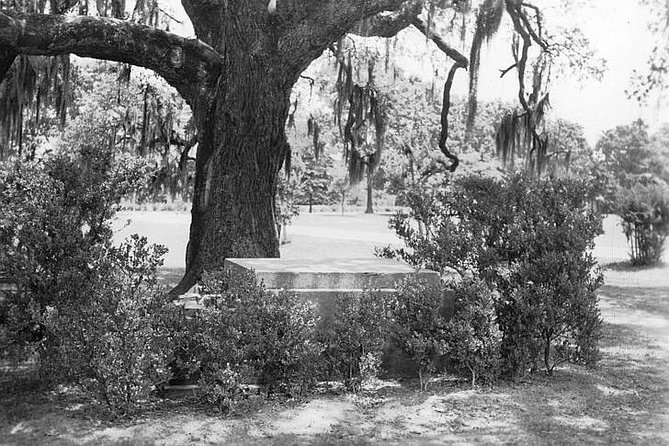 New Orleans Dead of Night Ghosts and Cemetery Bus Tour - Comfort, timing, and practical details