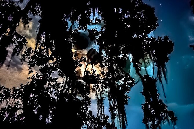 New Orleans: Dead of Night Ghosts and Cemetery Bus Tour - Cemeteries and the cities of the dead
