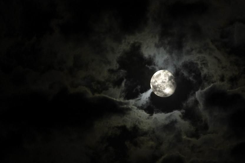 New Orleans Haunted Excursion Walking Tour - What the guide adds to the experience