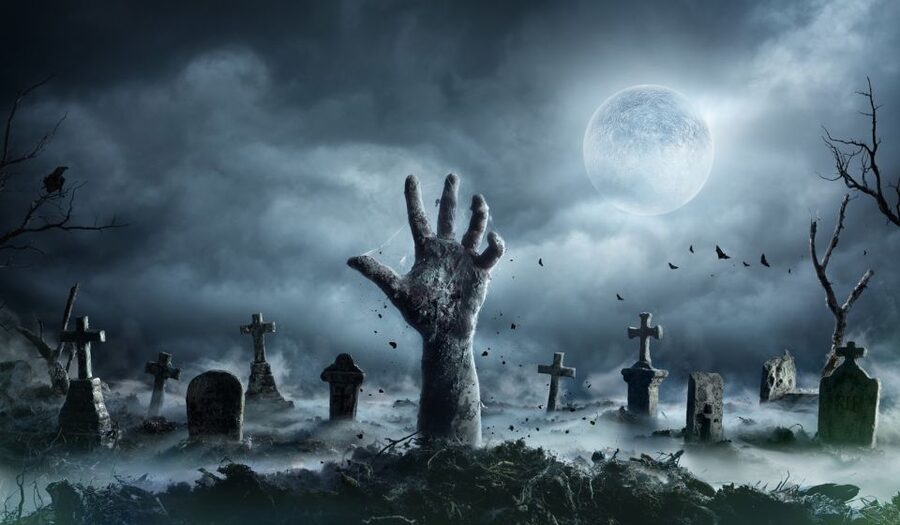 New Orleans: Night Cemetery and Ghost BYOB Bus Tour - Walking among the tombs after dark