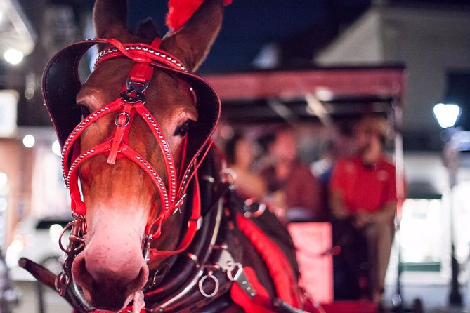 New Orleans Small-Group Haunted History Carriage Tour - Jackson Square sets the mood