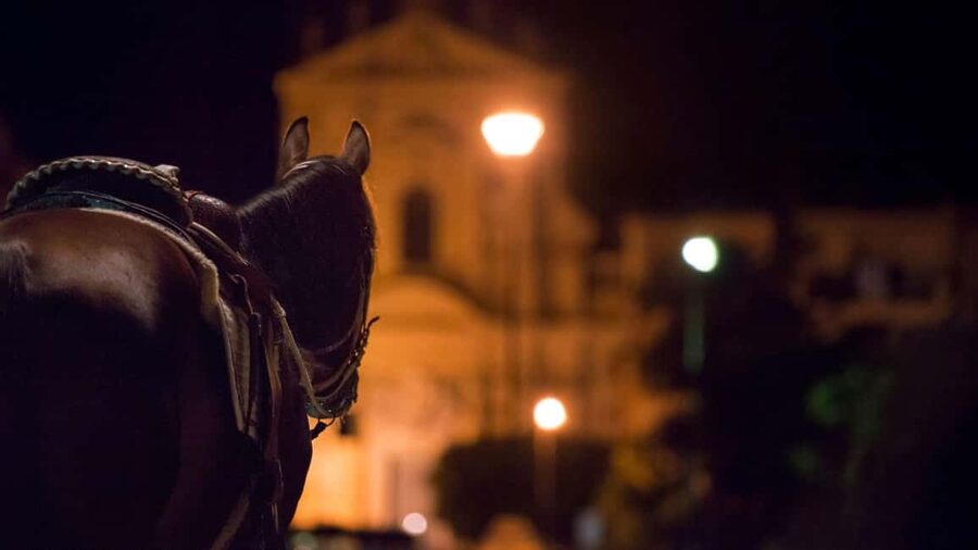 Palermo's Dark Shades: Ghost, Crime and Tasting Walking Tour - Quattro Canti and Palermo’s public face