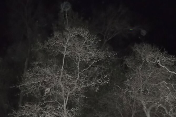 Paranormal Investigation History & Ghost Tour Old Town San Diego - What the paranormal equipment adds