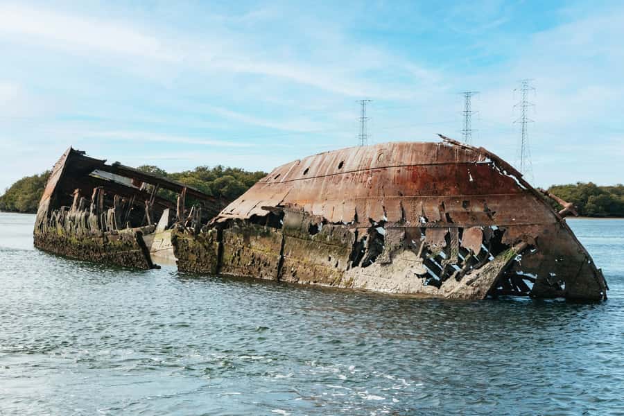 Port Adelaide: Dolphin and Ships Graveyard Cruise - Key points to know before you go