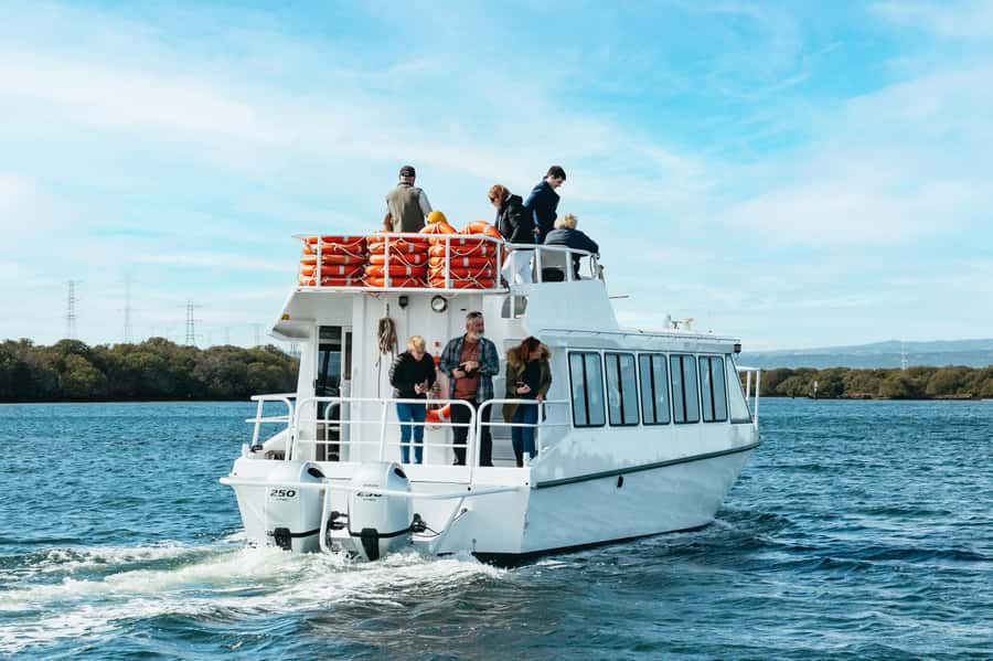 Port Adelaide: Dolphin and Ships Graveyard Cruise - Why this Port Adelaide cruise is more than a dolphin trip