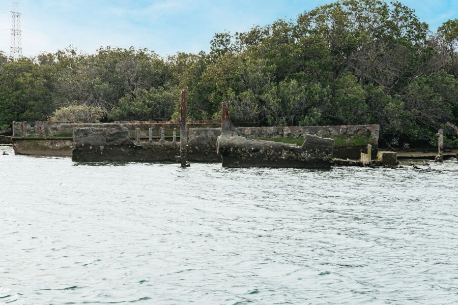 Port Adelaide: Dolphin and Ships Graveyard Cruise - Entering the Ships Graveyard