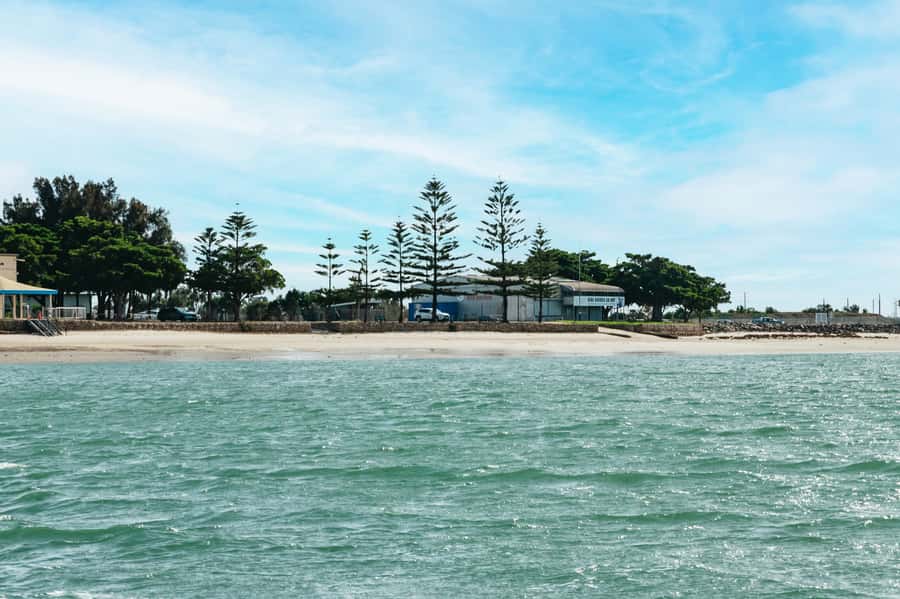 Port Adelaide: Dolphin and Ships Graveyard Cruise - Looking for dolphins in the Adelaide Dolphin Sanctuary