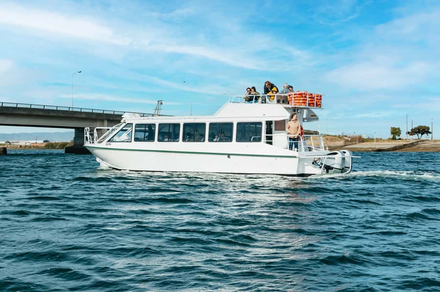 Port Adelaide: Dolphin and Ships Graveyard Cruise - Passing the International Bird Sanctuary