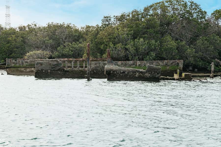 Port Adelaide: Dolphin and Ships Graveyard Cruise - The guides make or break the 90 minutes