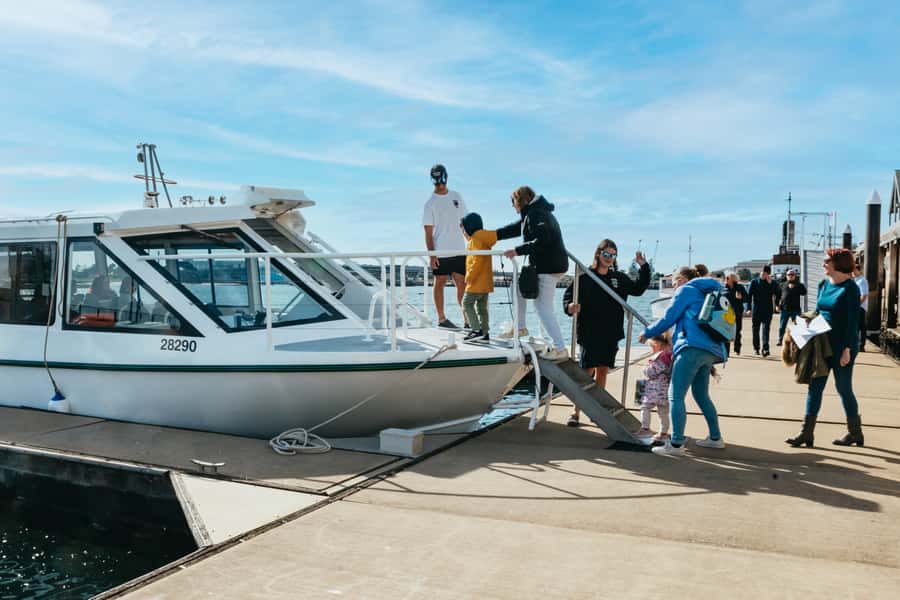 Port Adelaide: Dolphin and Ships Graveyard Cruise - Is $62 good value for this cruise?