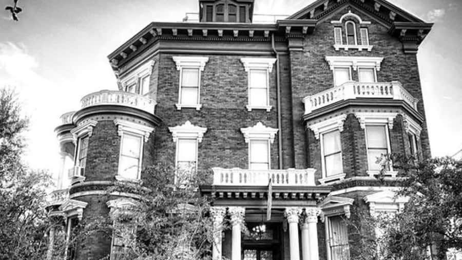 Savannah: Ghosts, Asylums, Voodoo, and Horror Walking Tour - Asylums, voodoo, and root magic