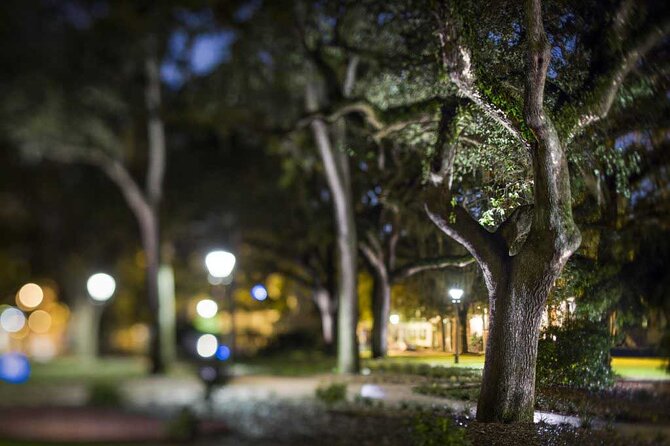 Savannah Shadows All Ages Ghost Tour - Why this walk works in Savannah