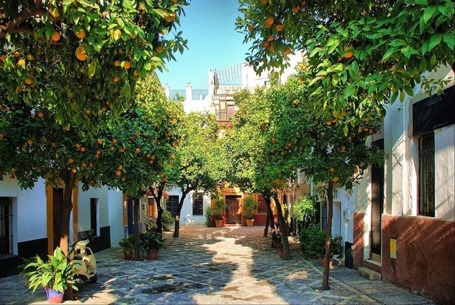 Seville: City of Queens, Nuns, Sex Work & Witches - Santa Cruz, Susona, and the city’s darker stories