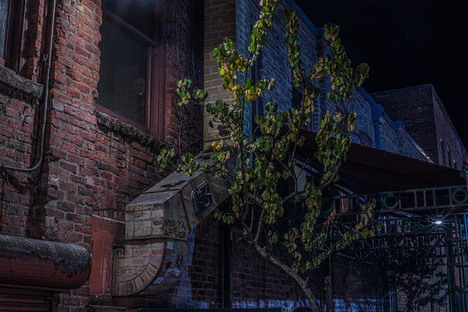 Sinister Sins, Scandal, and Shadows: Seattle Ghost Tour - What the one-hour format really offers