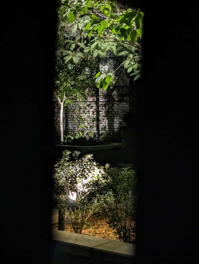 Spirit Xperience: Paranormal Walking Ghost Tour in Savannah - Who will enjoy this most?