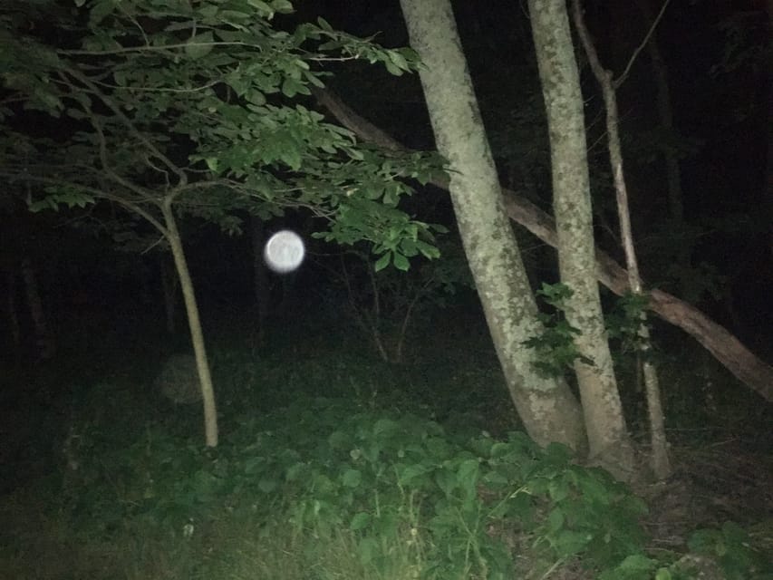 St. Augustine: Devil's Hour Paranormal Investigation Tour - What the guide adds to the night