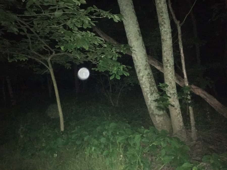 St. Augustine: Evening Paranormal Investigation Tour - Who Will Enjoy This Most?
