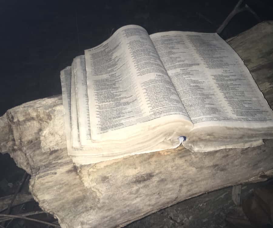 St. Augustine: Evening Paranormal Investigation Tour - Should You Book This Paranormal Investigation?