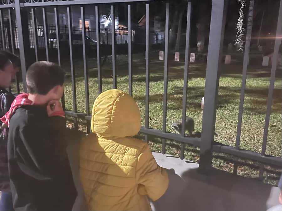 St. Augustine: Family-Friendly Guided Ghost Tour - Cancellation and Flexible Booking