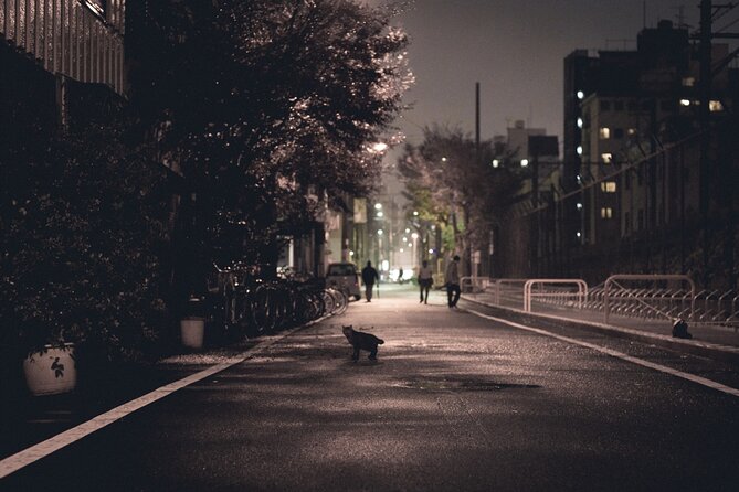 The Dark Side of Osaka Walking Tour - Who will get the most from this walk