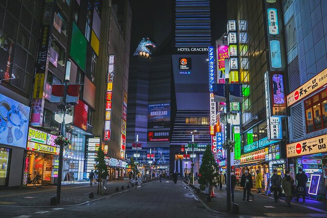 The Dark Side of Tokyo - Night Walking Tour Shinjuku Kabukicho - Key points at a glance