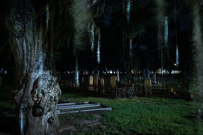 Tides of Tethered Terror: Tampa Ghost Tours - 811 North Franklin Street ends on a darker note