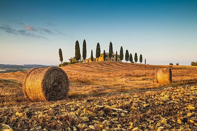 Tipsy Tour: Guided Bar Crawl In Florence with Dark History - Who should book, and who should skip it
