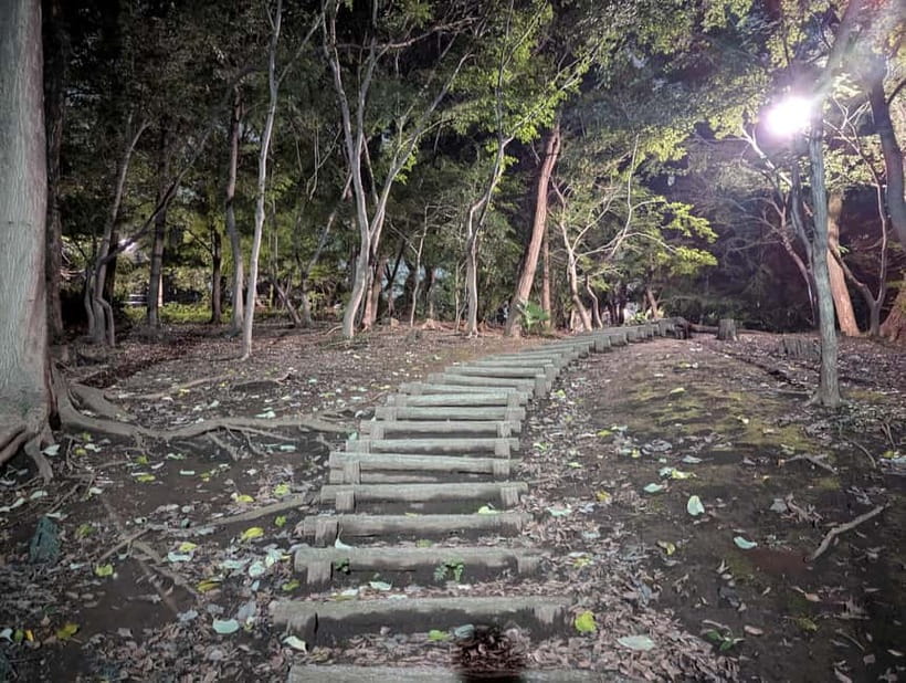Tokyo: True Crime And Ghost Stories Tour - What the price includes, and what it does not