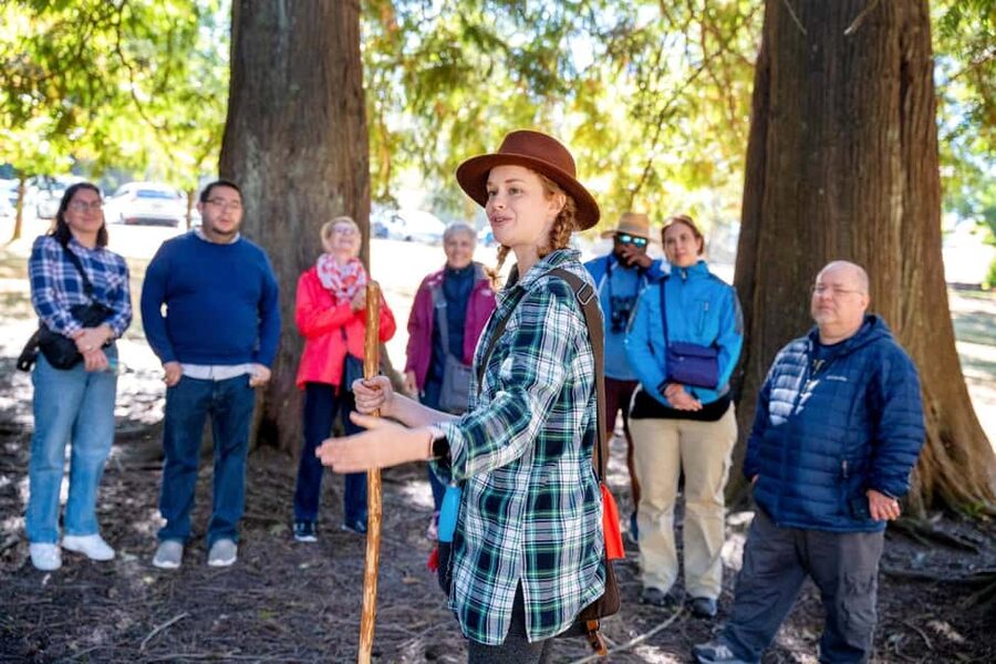 Vancouver: The Dark Secrets of Stanley Park Tour - Deadman’s Island and the stories beneath the name