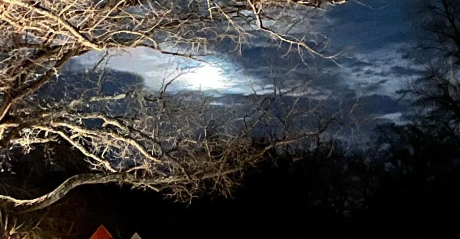 Williamsburg: Dead of Night Paranormal investigations Tour - Key points to know before you book